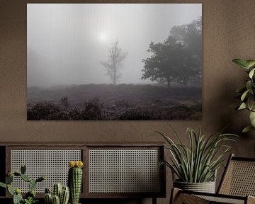 zonnetje prikt door de mist boven paarse heideveld van Peter Haastrecht, van