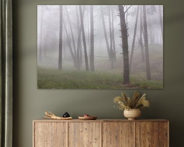 Foggy morning in a hilly forest by Peter Haastrecht, van