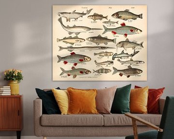 Antique lithograph with fish by Studio Wunderkammer