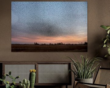 Atmospheric landscape with thousands of starlings by Franke de Jong