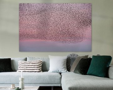 Starling dance in the pink evening sky. by Franke de Jong