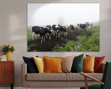 Koeien in de Mist van Charlene van Koesveld