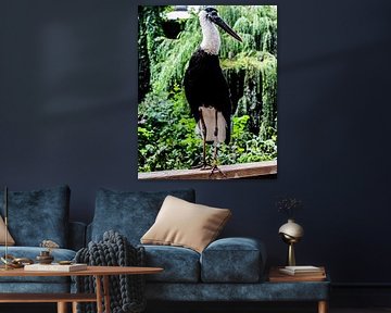 Oiseau