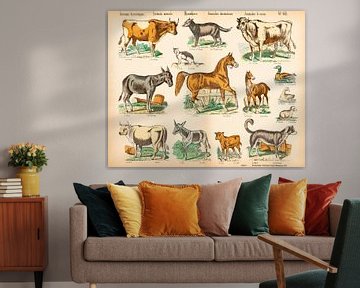 Antique plate with farm animals by Studio Wunderkammer
