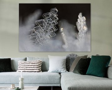 ijskristallen kerstboom van Elbert-Jan Achterberg