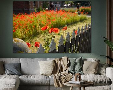 Champ de coquelicots rouges sur Dirk van Egmond