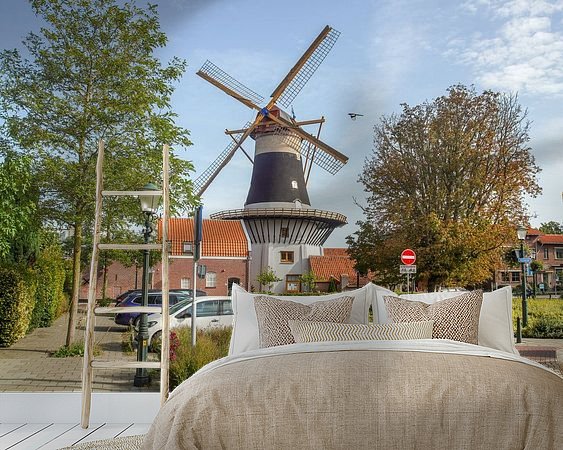 Aperçu de la chambre