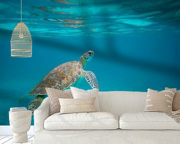Schildkröte schwimmt an die Oberfläche von Elbert-Jan Achterberg