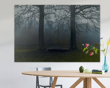 park bench in misty autumn by it's a Boone thing