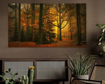 Herfst bos . Autumn forest. van Saskia Dingemans Awarded Photographer
