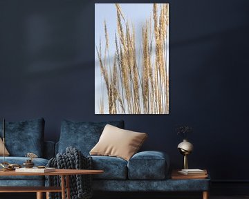 Gouden gras op lichtblauw van Imladris Images