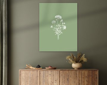 Illustration d'une fleur de champ vert olive sur KPstudio
