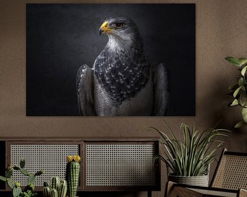 Fineart portret van een roofvogel | De grijze arendbuizerd van Laura Dijkslag