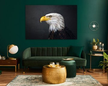 Fineart portret | roofvogel | De Amerikaanse zeearend (Bald Eagle) | birdphotography | artprint | wildlife van Laura Dijkslag