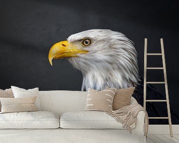 Fineart portret van een roofvogel | De Amerikaanse Visarend (Bald Eagle) van Laura Dijkslag