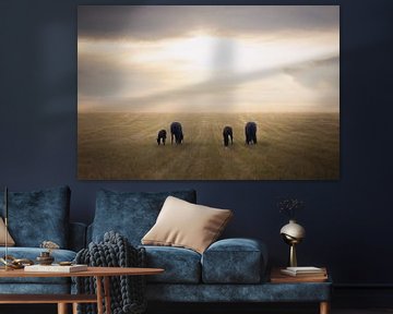 Uitgestrekt landschap met friese paarden van Laura Dijkslag