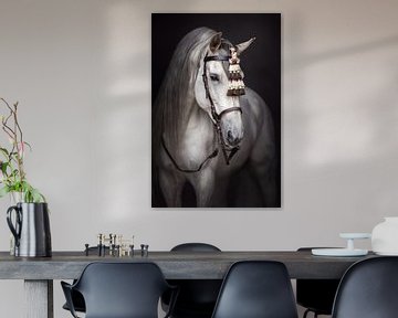 Fineart portret van Spaanse hengst | wit paard van Laura Dijkslag