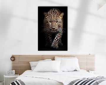 Leopard by Bert Nijholt