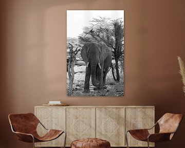 Elefant in freier Wildbahn von Maurice van Dalfsen