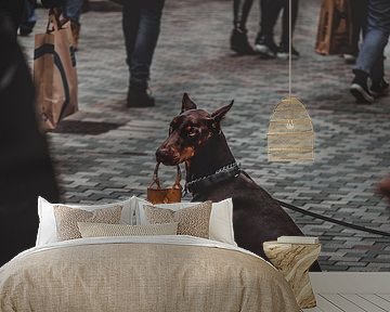 Bettelnder Hund von it's a Boone thing