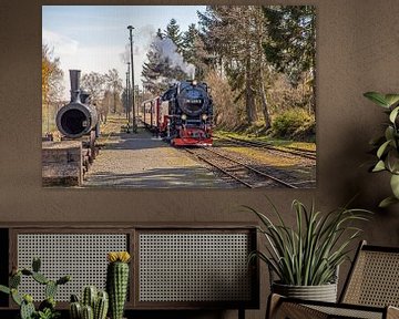 Die Selketalbahn bei der Einfahrt in den Bahnhof Hasselfelde von t.ART