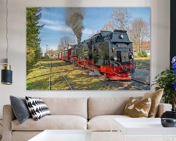 De Selketalbahn vanuit station Hasselfelde van t.ART