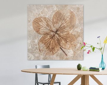 Square still life in brown and gold tones: The Hydrangea Leaf