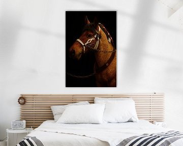 Draft horse by Bert Quaedvlieg