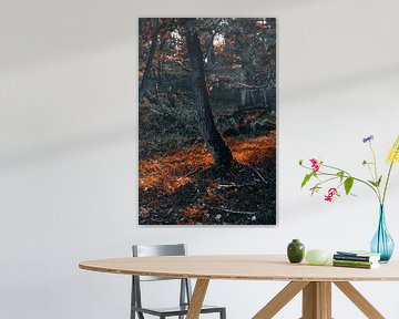 Stimmungsvoller Herbst in der Natur: Goldene Orangenbäume von Inez Nina Aarts