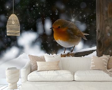 Atmosphere of winter. Robins. by Alie Ekkelenkamp