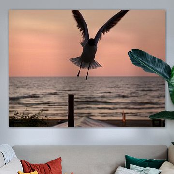 Mouette en vol au coucher du soleil