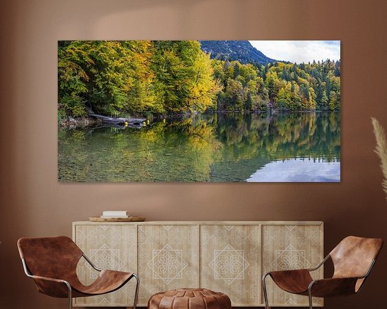 Aperçu de la chambre