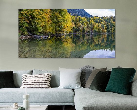 Aperçu de la chambre