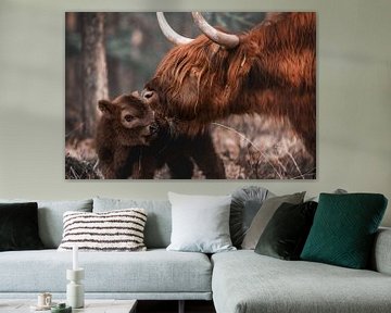Schotse Hooglander koe met kalf van Laura Dijkslag