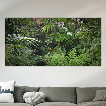 Fond de forêt tropicale