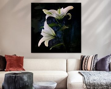 Cas Pflanzen - Weiße Lilie von Cas Slagboom