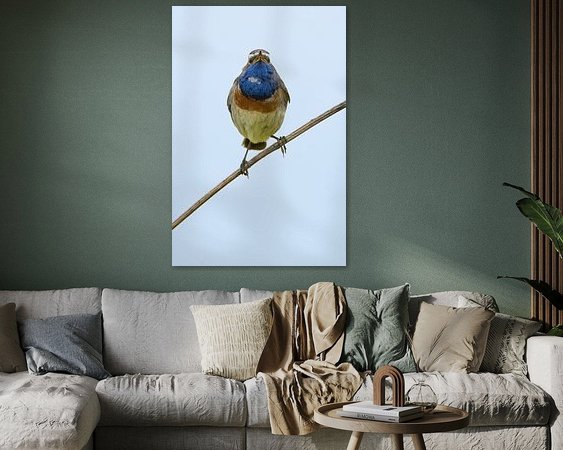 Aperçu de la chambre