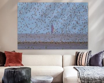 Pied sandpipers in wadden sea flight by Hans Hut