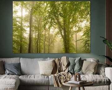 Atmospheric forest in autumn with a mist in the air by Sjoerd van der Wal Photography