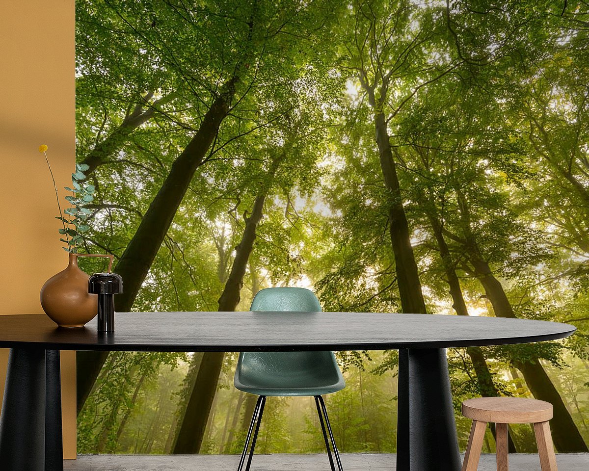 Raumvorschau