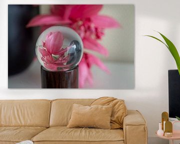 Een betoverende glazen bol met de magische  medinella bloem! van JoeSaCreaties
