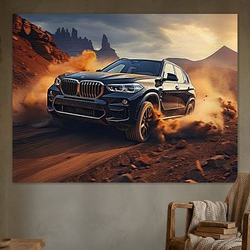 BMW X5M Wettbewerb