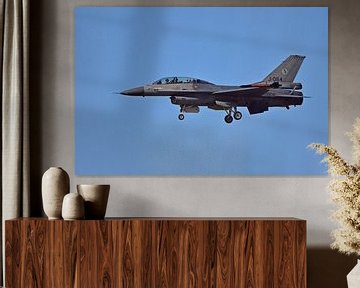 F16 van Pyter de Roos