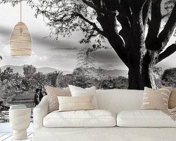 Vietnamese kinderen bij de reusachtige boom in Kon Tum