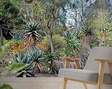 Prachtige botanische tuin in Palermo