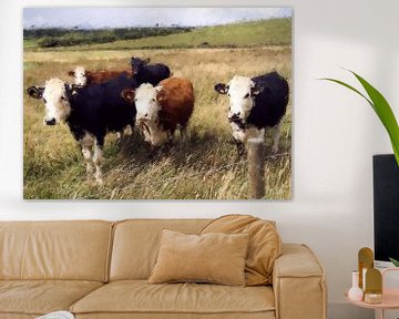 Fünf Kühe auf einer Weide in Irland von Western Exposure
