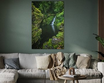 Chute d'eau dans la jungle en Nouvelle-Zélande sur Jean Claude Castor