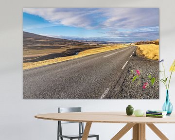 Road and landscape in the east of Iceland by Rico Ködder