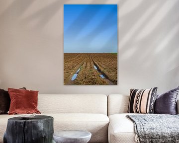Karresporen van Henri Boer Fotografie