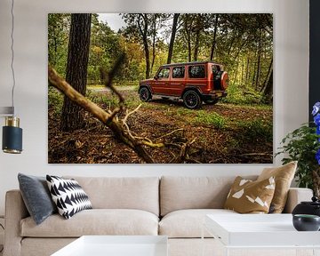 Mercedes-AMG G63 by Bas Fransen